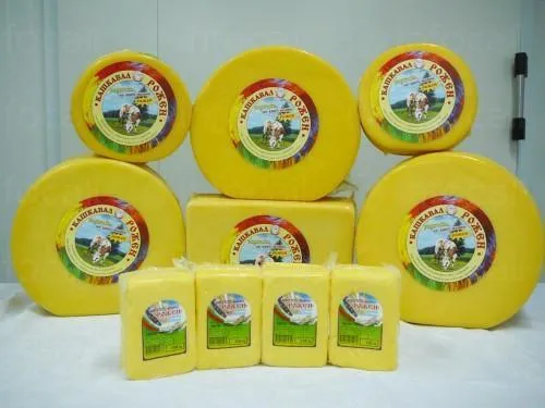 Производство на млечни продукти в Давидково